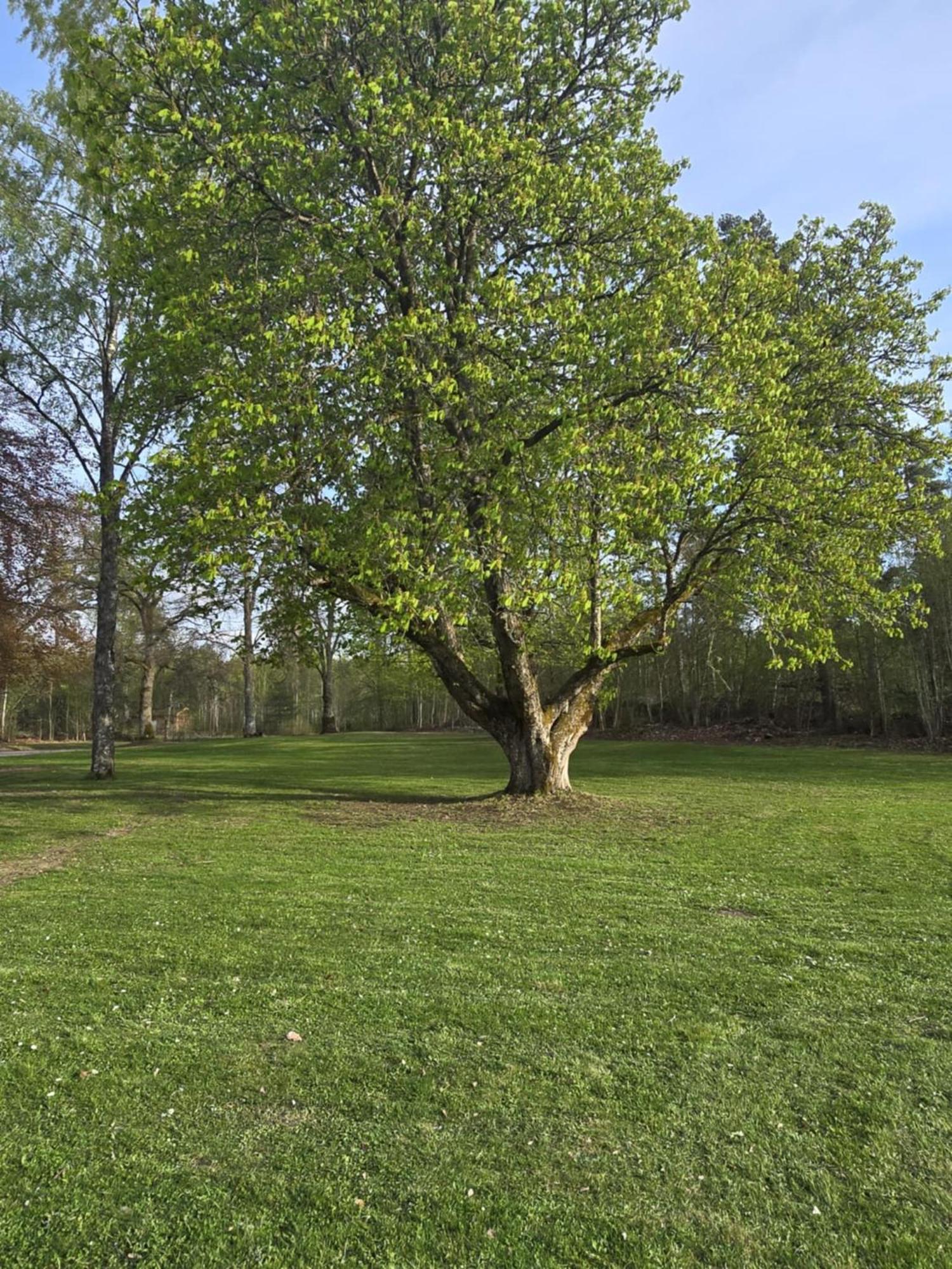Stora Ekeberg Vandrarhem Axvall 外观 照片